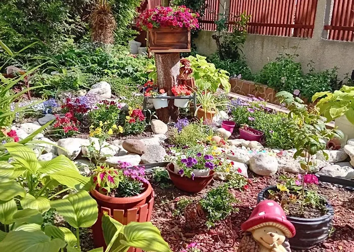 Urdoviza 3* קיטן