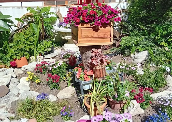 בית הארחה Urdoviza